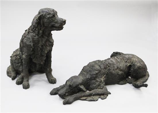 Bronzed red setter and labrador
